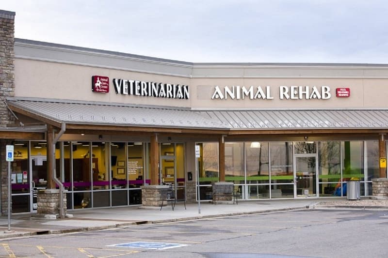 Veterinary Specialists of the Rockies